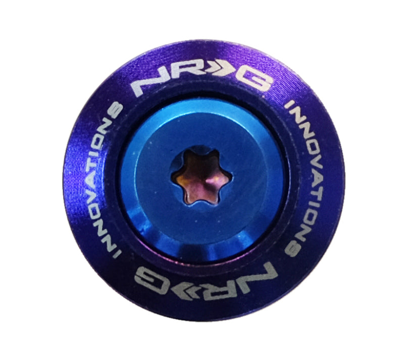 NRG Fender Washer Kit (TI Series) M6 Bolts For Plastic (TI Burn Washer/TI Burn Screw) - Set of 10 NRG Hardware Kits - Other AXOPROS