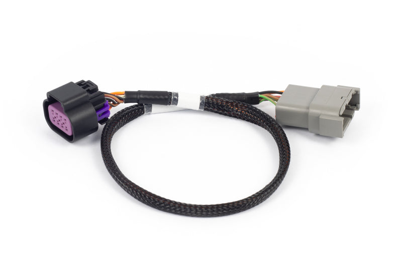 Haltech NEXUS Rebel LS 8-Pin DBW Adaptor Haltech Wiring Connectors AXOPROS