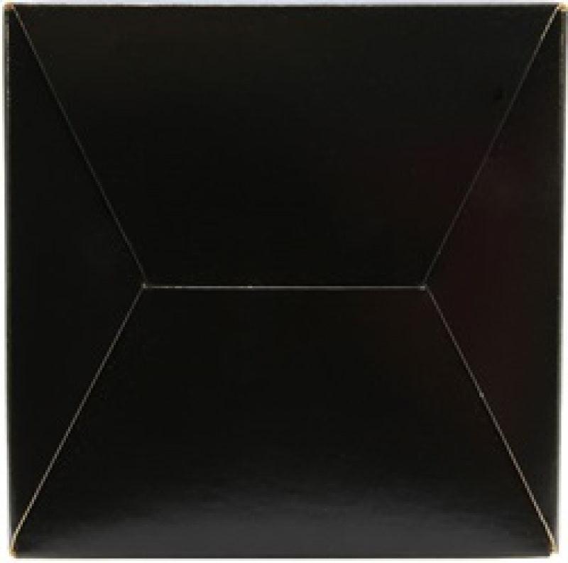 AEM 3.5 in Short Neck 5 in Element Filter AEM Induction Air Filters - Universal Fit  AXOPROS