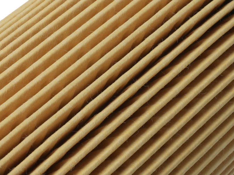 aFe ProGuard D2 Fluid Filters Oil F/F OIL BMW Gas Cars 96-06 L6 aFe Oil Filters AXOPROS