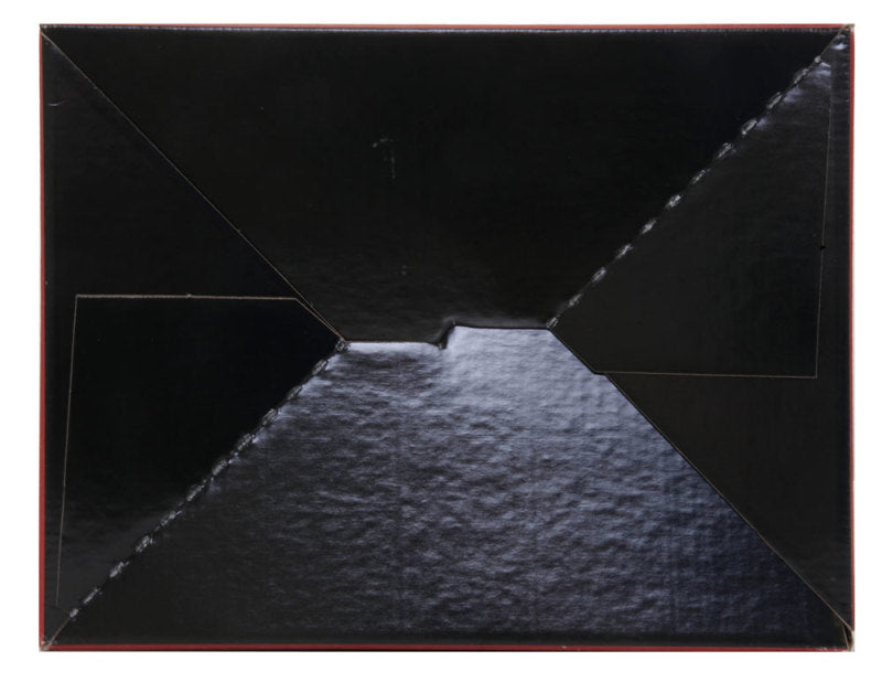 Airaid 03-07 Ford Power Stroke 6.0L Direct Replacement Filter Airaid Air Filters - Direct Fit AXOPROS