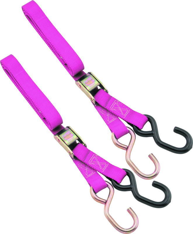BikeMaster 1in Tiedown - Pink BikeMaster Cargo Tie-Downs AXOPROS