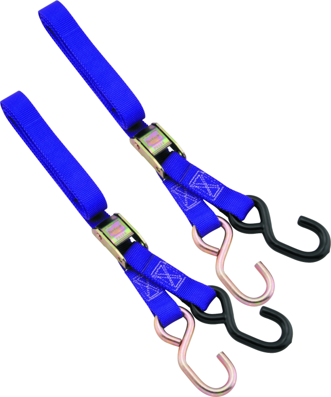 BikeMaster 1in Tiedown - Purple BikeMaster Cargo Tie-Downs AXOPROS
