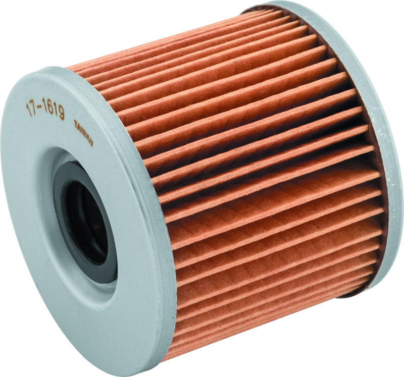 BikeMaster Suzuki BM-133 Oil Filter - Black BikeMaster Oil Filters AXOPROS