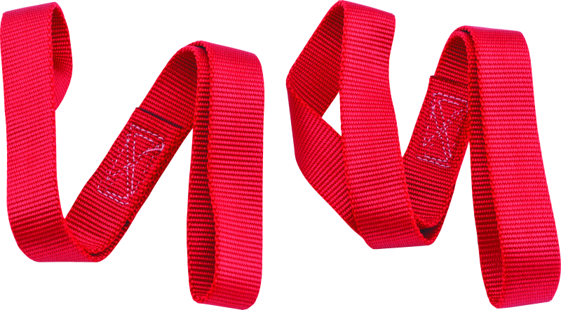 BikeMaster Tiedown Extension 18in - Red BikeMaster Cargo Tie-Downs AXOPROS
