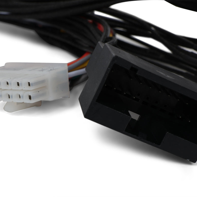 BLOX Racing Honda OBD0 - OBD1 ECU Jumper Harness BLOX Racing Wiring Harnesses AXOPROS