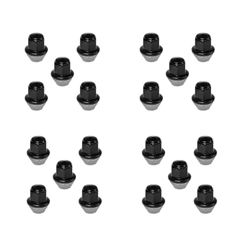 Ford Racing 15-18 Mustang Black Lug Nut Kit (20 Lug Nuts) Ford Racing Lug Nuts  AXOPROS