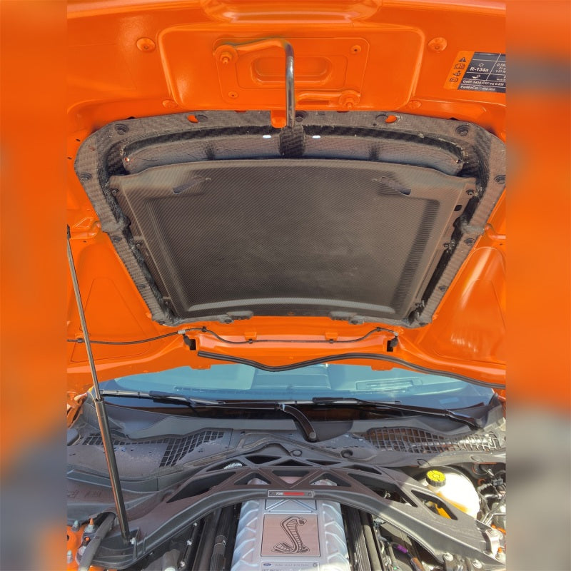 Ford Racing 20-22 Mustang GT500 Carbon Fiber Hood Vent Kit Ford Racing Hoods  AXOPROS