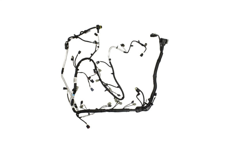 Ford Racing 5.0L Coyote Engine Harness for Automatic Transmission Ford Racing Wiring Harnesses AXOPROS