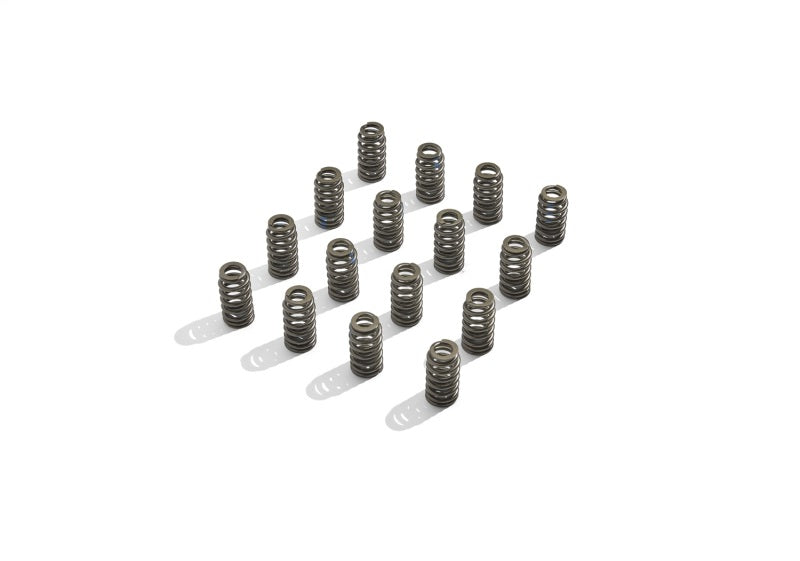 Ford Racing BOSS 302R Valve Spring Kit Ford Racing Valve Springs, Retainers AXOPROS
