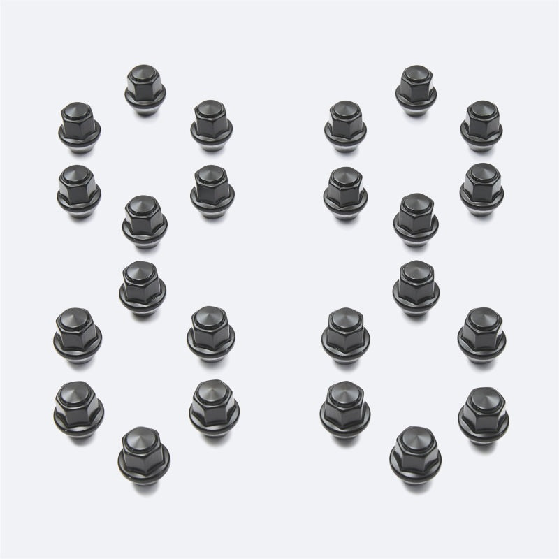 Ford Racing M14 x 1.5 Black Lug Nut - Set of 24 Ford Racing Lug Nuts  AXOPROS
