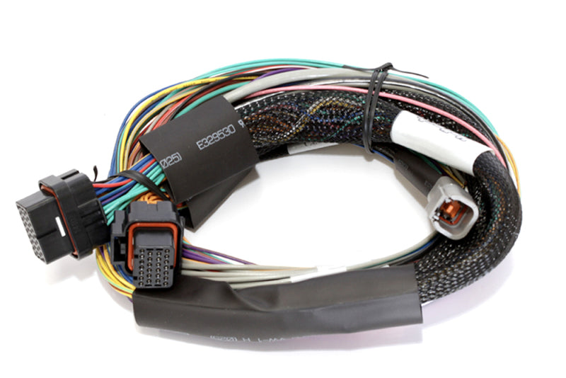 Haltech Elite 2500 8ft Basic Universal Wire-In Harness (No Relays or Fuses) Haltech Wiring Harnesses AXOPROS