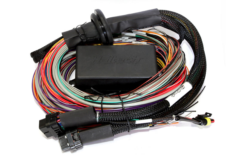 Haltech Elite 2500/2500 T 8ft Premium Universal Wire-In Harness Haltech Wiring Harnesses AXOPROS