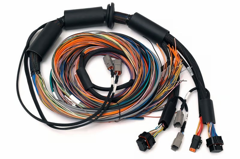 Haltech NEXUS R3 Universal Wire-In Harness - 2.5M (8ft) Haltech Wiring Harnesses AXOPROS