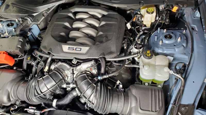 J&L 2024-2025 Ford Mustang 5.0L Oil Separator 3.0 PCV Side - Clear Anodized J&L Oil Separators AXOPROS