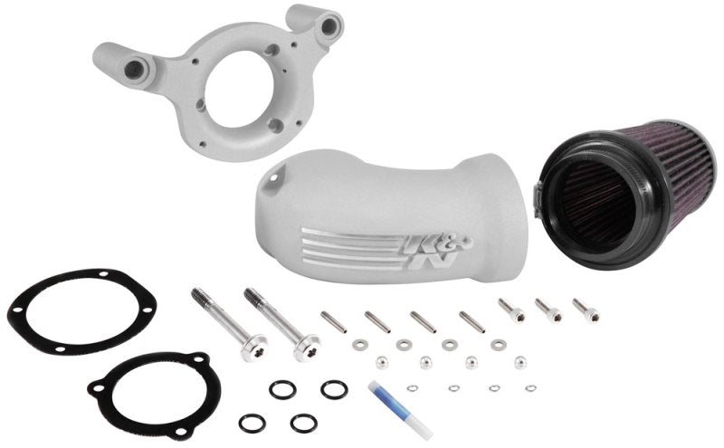 K&N 01-17 Harley Davidson Softail / Dyna FI Performance Air Intake System Silver K&N Engineering Cold Air Intakes AXOPROS
