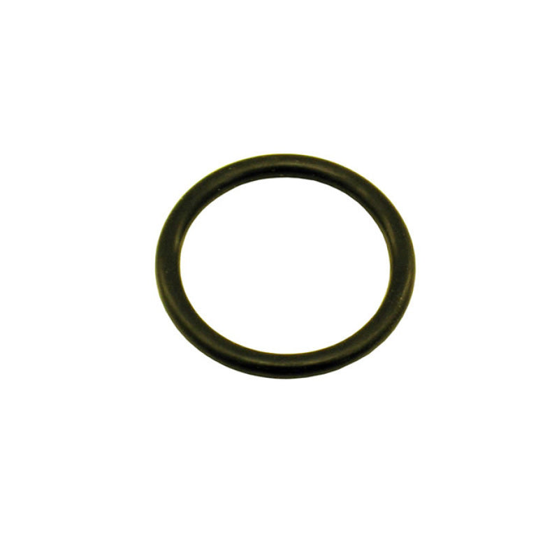 Nitrous Express 1-1/8 O-Ring (Fits 5lb/10lb/12lb/15lb Bottle Valve) Nitrous Express O-Rings AXOPROS