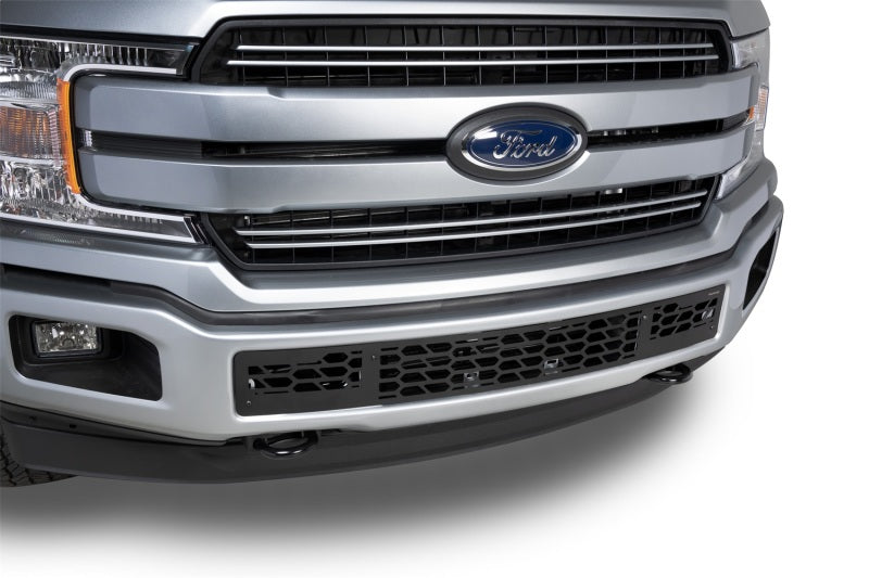 Putco 18-20 Ford F-150 - Hex Shield - Black Powder Coated Bumper Grille Inserts Putco Grilles  AXOPROS