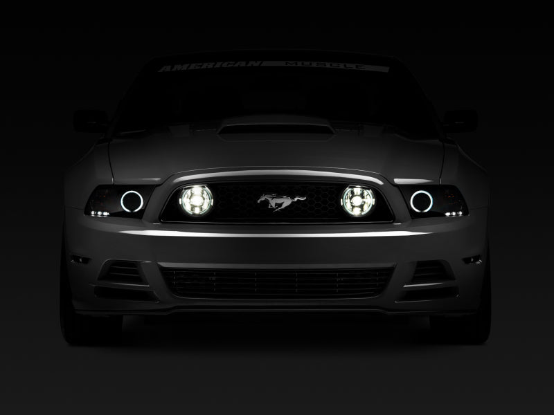 Raxiom 13-14 Ford Mustang GT CCFL Halo Fog Lights (Smoked) Raxiom Headlights AXOPROS