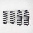 RS-R 2017-2022 Honda Civic Type R (FK8) Super Down Sus Springs RS-R Lowering Springs  AXOPROS
