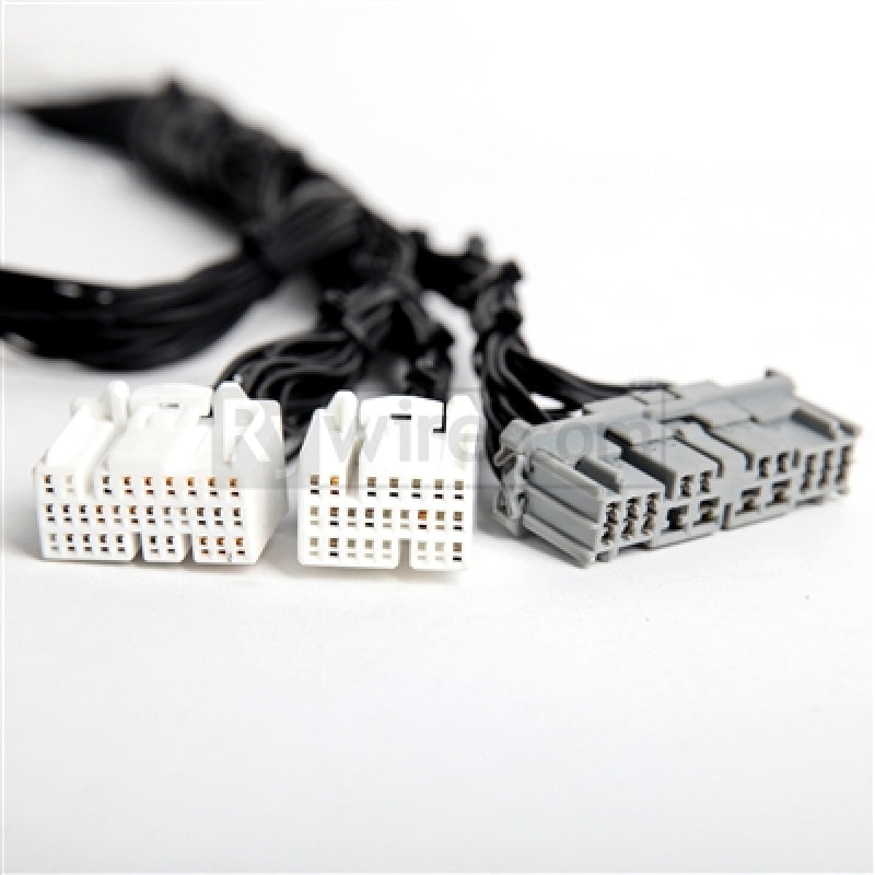 Rywire Honda K-Series Tucked Budget Engine Harness w/OBD2 02-04 RSX K20 Sensor/Firewall VSS Rywire Wiring Harnesses AXOPROS