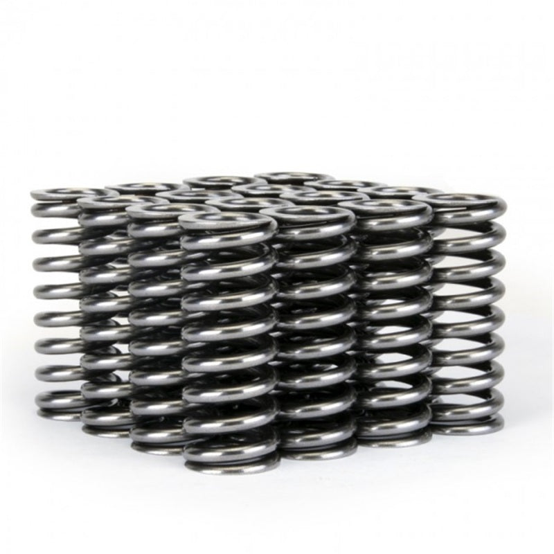 Skunk2 Alpha Series Honda D Series VTEC Valve Spring Set Skunk2 Racing Valve Springs, Retainers AXOPROS