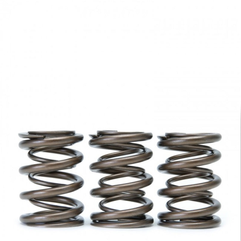 Skunk2 Tuner Series Honda/Acura (B16A/ B17A/ B18C) DOHC VTEC Alpha Valve Spring Set (Dual Springs) Skunk2 Racing Valve Springs, Retainers AXOPROS