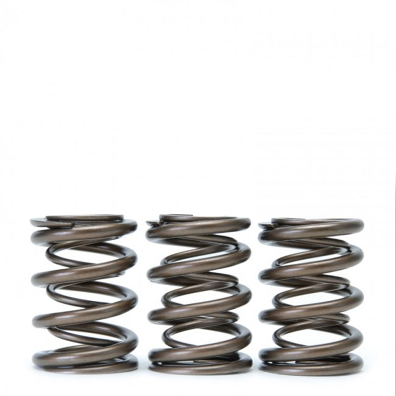 Skunk2 Tuner Series Honda/Acura (H22A/F20B) DOHC VTEC Alpha Valve Spring Set (Dual Springs) Skunk2 Racing Valve Springs, Retainers AXOPROS