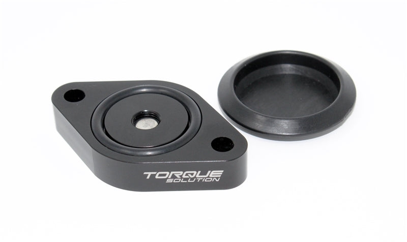 Torque Solution Sound Symposer Delete 2013+ Ford Focus ST Torque Solution Block Off Plates AXOPROS