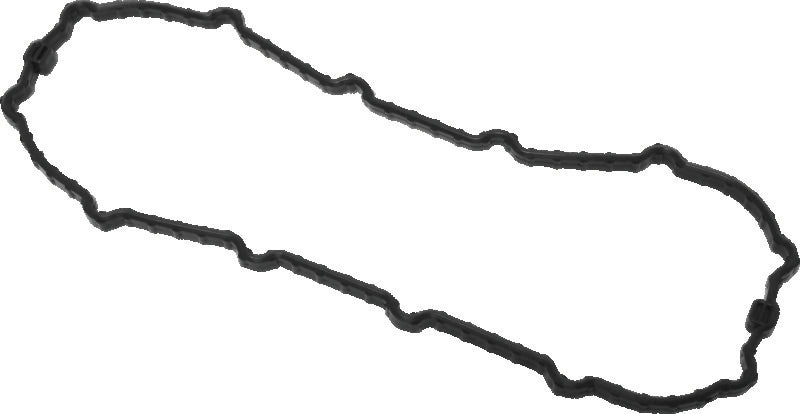 Twin Power 04-13 Dyna Models Fuel Pump Plate Seal Viton Replaces H-D 75245-04A TwinPower Fuel Pumps AXOPROS