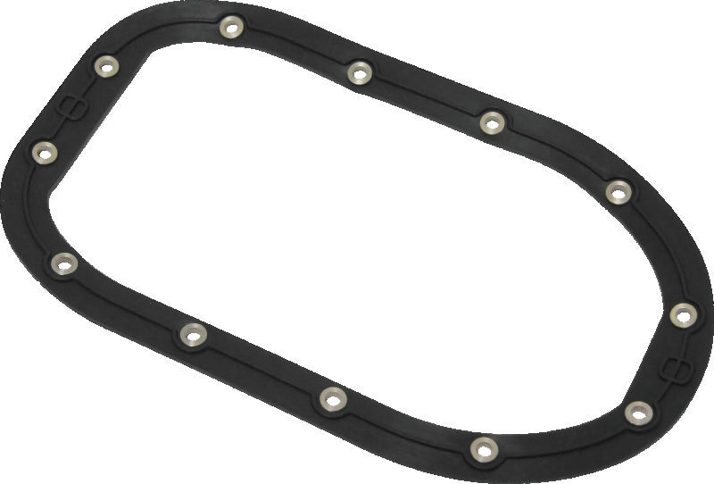 Twin Power 06-17 Dyna Models Fuel Pump Plate Seal Viton Replaces H-D 75248-04 TwinPower Fuel Pumps AXOPROS