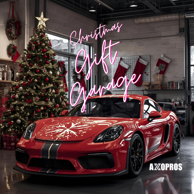 Holiday-Shopping AXOPROS