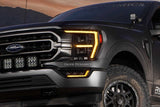 Diode Dynamics 21-23 Ford F-150 Elite Fog Lamps - White Diode Dynamics Fog Lights  AXOPROS