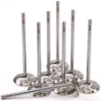GSC P-D Ford Mustang 5.0L Coyote Gen 1/2 37.27mm Head (STD) Chrome Polished Intake Valve - Set of 8 GSC Power Division Valves  AXOPROS