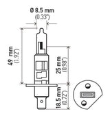 Hella Optilux H1 100W XB Extreme White Bulbs (Pair) Hella Bulbs  AXOPROS