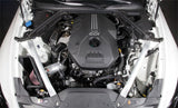 K&N 2018 Kia Stinger L4-2.0L F/I Silver Typhoon Short Ram Intake K&N Engineering Cold Air Intakes  AXOPROS