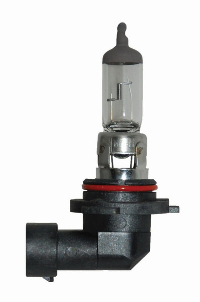 Hella 9006 12V 55W Halogen Bulb Hella Bulbs  AXOPROS