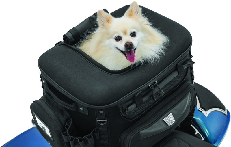 Kuryakyn Grand Pet Palace Kuryakyn Cargo Boxes & Bags  AXOPROS
