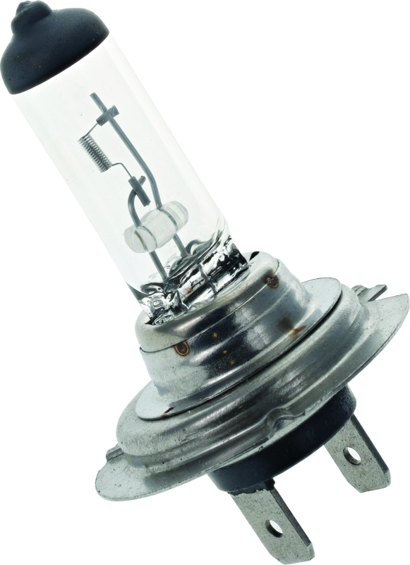 BikeMaster H-7 Halogen Bulb BikeMaster Bulbs  AXOPROS