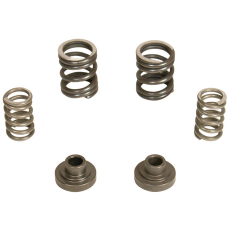 BD Diesel BD Diesel Governor Spring Kit 3000rpm - 1994-1998 Dodge 12-valve/P7100 Pump Injection Pump Components aftermarket performance part
