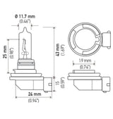 Hella Bulb H9 12V 65W PGJ19-5 T4 Hella Bulbs  AXOPROS