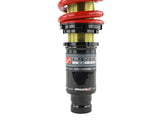 Skunk2 96-00 Honda Civic Pro-ST Coilovers (Front 10 kg/mm - Rear 10 kg/mm) Skunk2 Racing Coilovers  AXOPROS