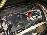 Injen 11-17 Nissan Juke (Including NISMO) 1.6L Turbo Wrinkle Red Short Ram Intake Injen Cold Air Intakes  AXOPROS