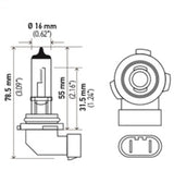 Hella H10 12V 65W Xen White Bulb (Pair) Hella Bulbs  AXOPROS