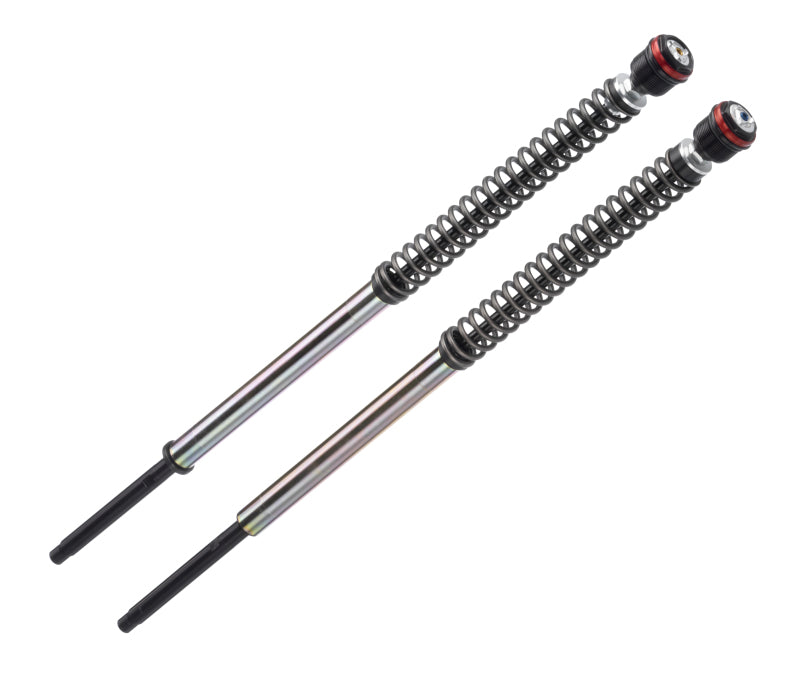 Bitubo JBH0 Pressurized Cartridge Adj.: Spring Preload, Rebound, Comp., w/o Oil, Red Ring Bitubo Suspension Fork Cartridge Kits  AXOPROS