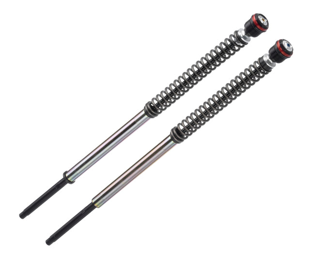 Bitubo JBH0 Pressurized Cartridge Adj.: Spring Preload, Rebound, Comp., w/o Oil, Red Ring Bitubo Suspension Fork Cartridge Kits  AXOPROS