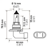 Hella Optilux HB4 9006 12V/55W XY Xenon Yellow Bulb Hella Bulbs  AXOPROS
