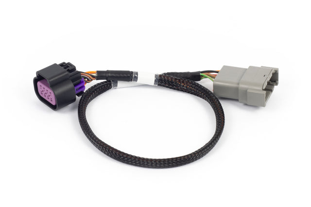 Haltech NEXUS Rebel LS 8-Pin DBW Adaptor Haltech Wiring Connectors  AXOPROS