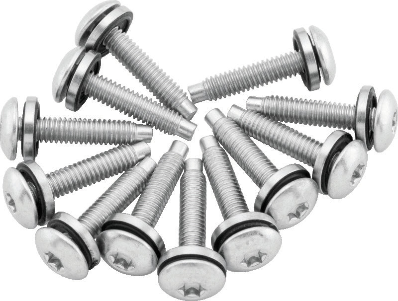 Twin Power 04-17 Dyna Models Fuel Pump Plate Screw Kit Replaces H-D 1311 TwinPower Fuel Pumps  AXOPROS