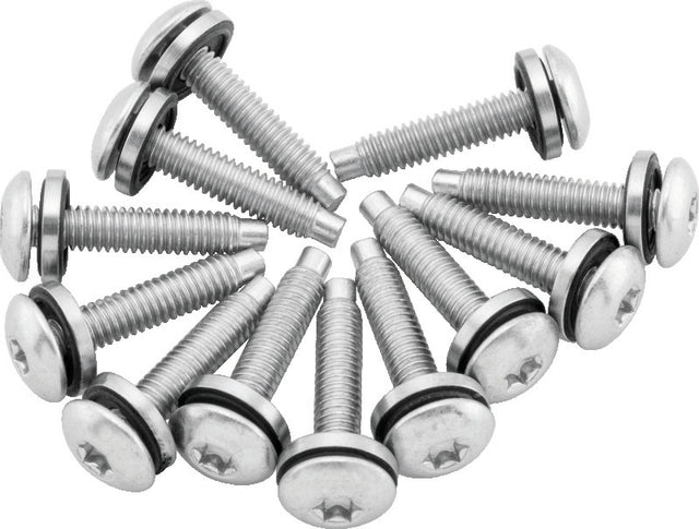 Twin Power 04-17 Dyna Models Fuel Pump Plate Screw Kit Replaces H-D 1311 TwinPower Fuel Pumps  AXOPROS